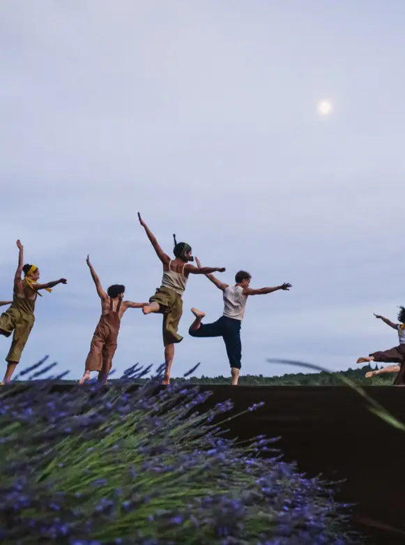 Image banner 2