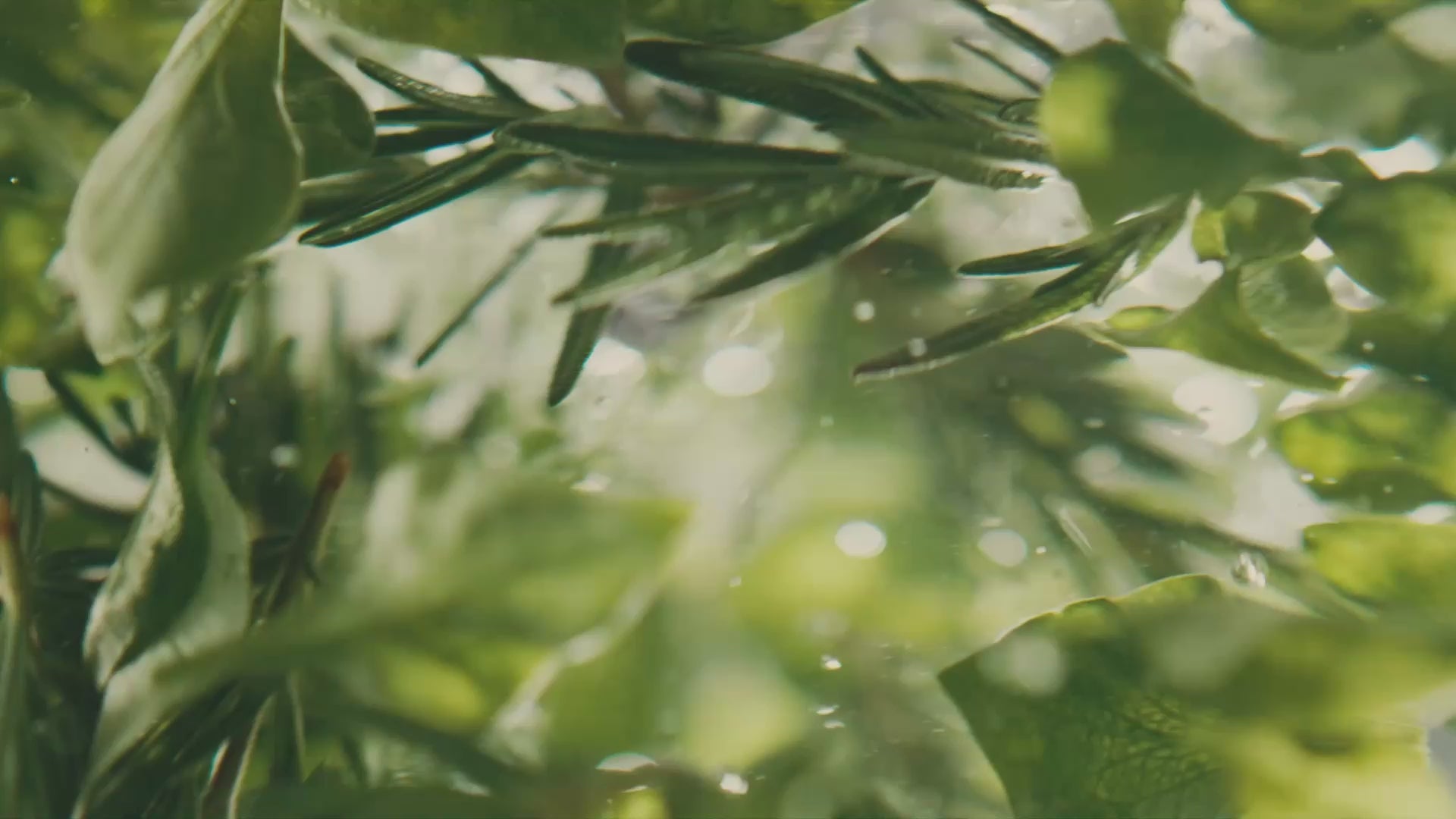 載入影片：